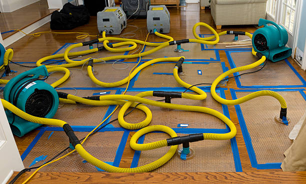 Professional Water Damage Repair technician working in Olivet, MI